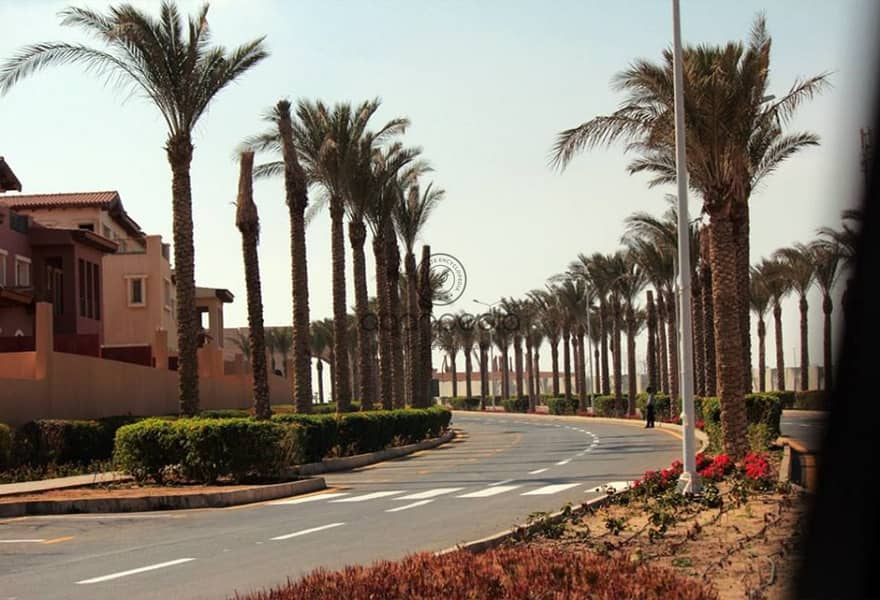 8 ece24819-7968-4f62-863a-bc7d25296760. jpg