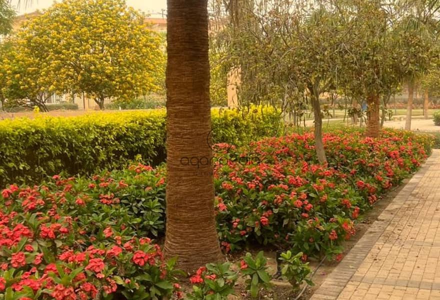 7 cf4e5204-bfc9-4638-b382-da970b4eb300. jpg