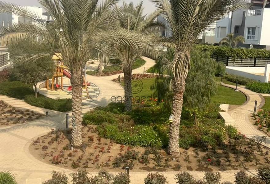 3 92dc3e88-3c03-4902-a36b-5891c5f19852. jpg