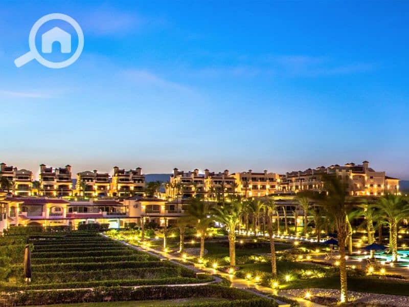 4 Untitled design - 2023-07-12T164557.718. png