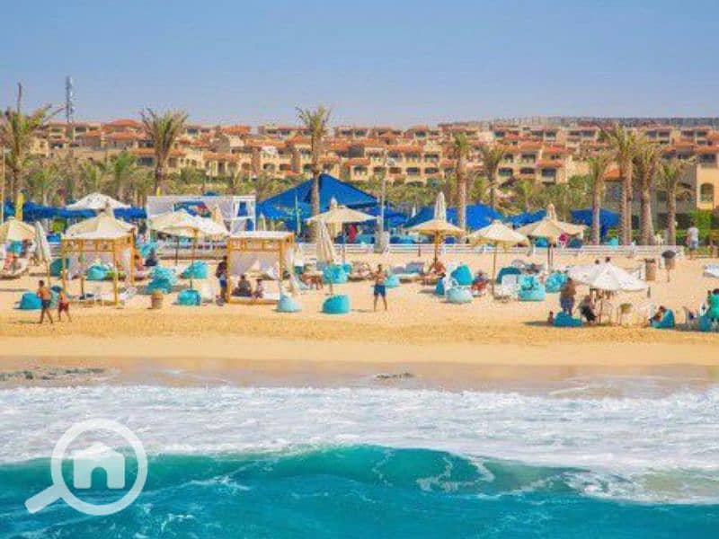 5 Untitled design - 2023-07-12T164608.421. png