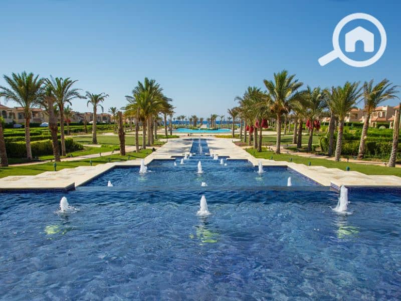 8 Untitled design - 2023-07-12T164643.054 (2). png