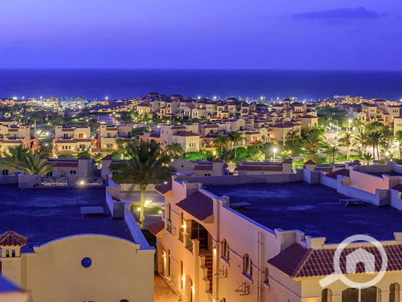 10 Untitled design - 2023-07-12T164715.241 (2). png