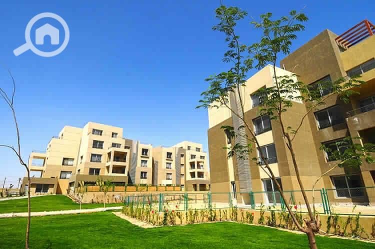 9 PHOTO-2024-05-30-11-58-00 (4). jpg