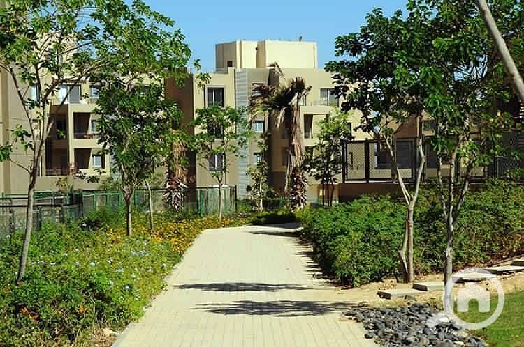 11 PHOTO-2024-05-30-11-58-00 (9). jpg