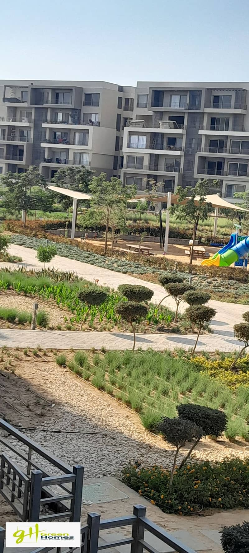 6 20250923_160514. jpg