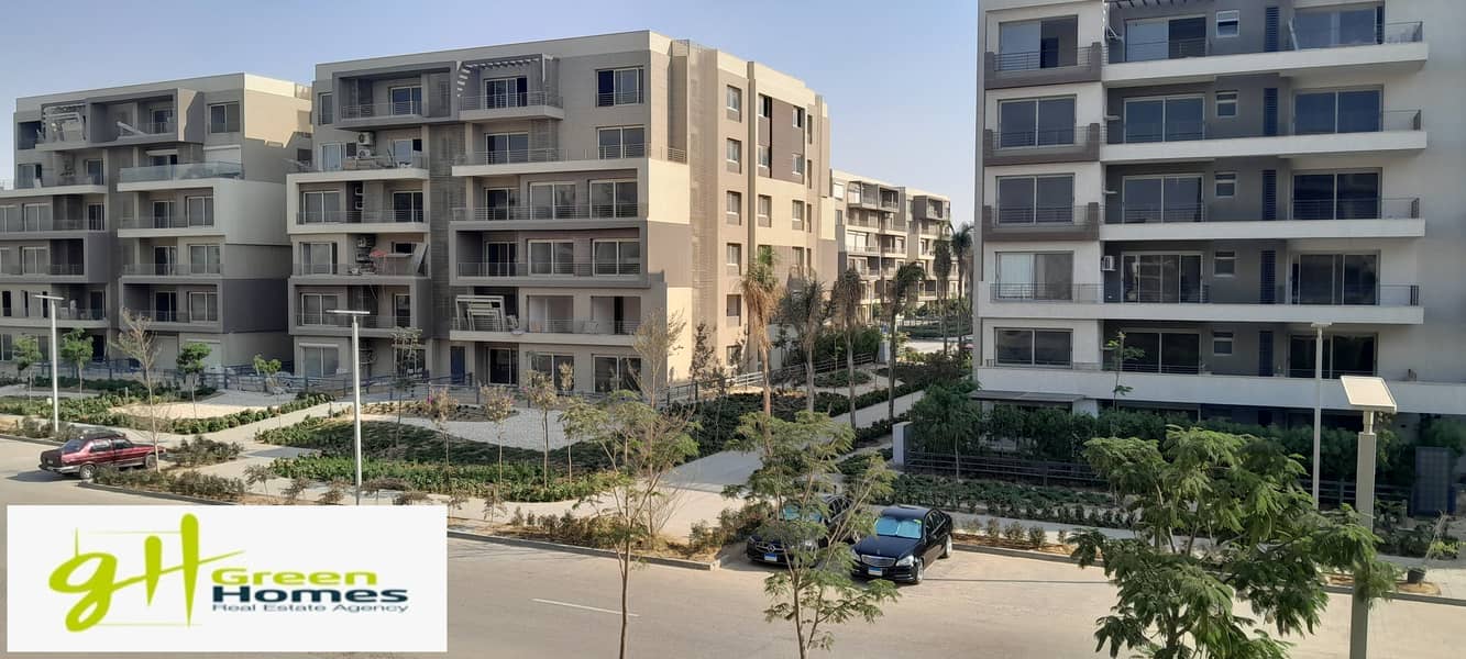 8 20250923_161104. jpg