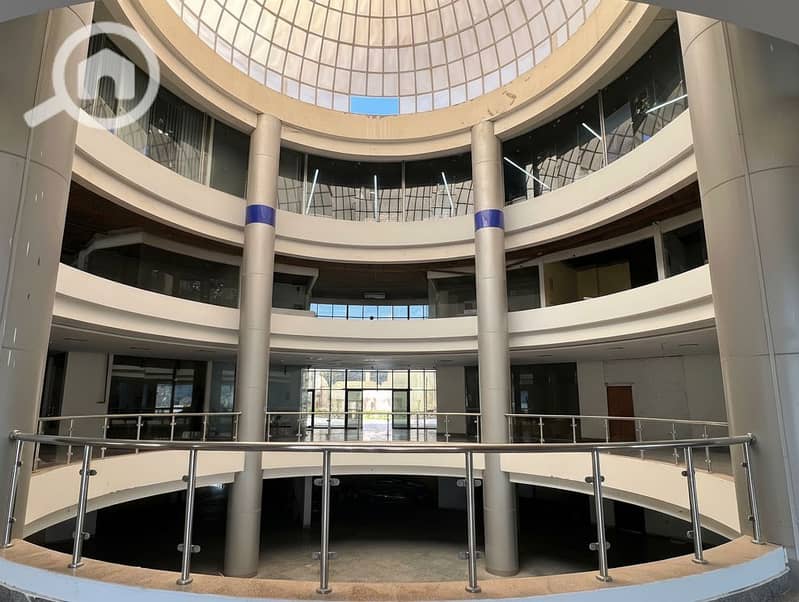 8 Generated Image September 23, 2025 - 2_06PM. png