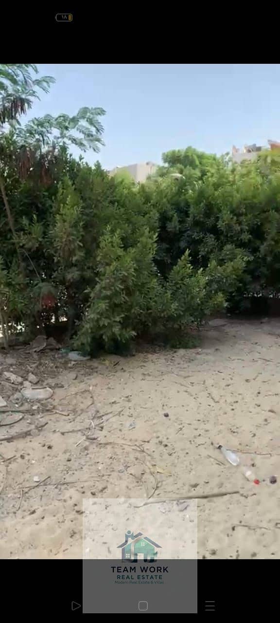 9 ffe9453b-75f3-493d-8562-4dac85b03f53. jpg