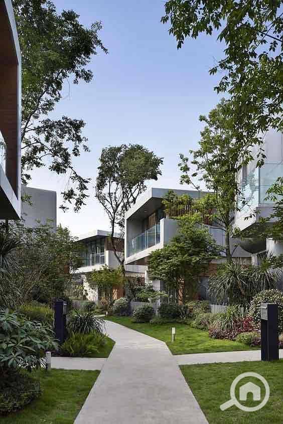 IMG_1079. jpg IMG_1079. jpg