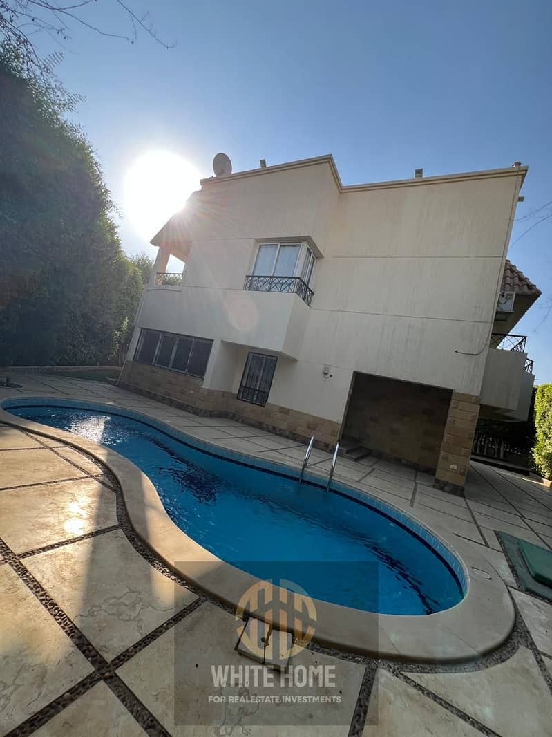 6 3e7efd64-ffcd-4eb9-8354-2f917e3f0c07. jpeg