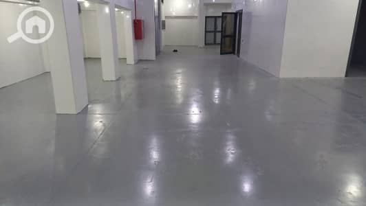 Factory for Rent in New Cairo, Cairo - WhatsApp Image 2025-11-17 at 16.39. 33_060d6480. jpg