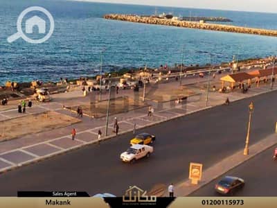 شقة 3 غرف نوم للايجار في لوران، الإسكندرية - d72d9714-078e-4723-bc1c-7dfdac4ccff6. jpg