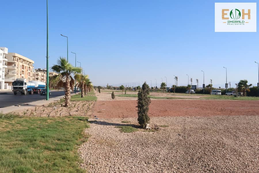 4 IMG_0229 - Copy - Copy. jpg