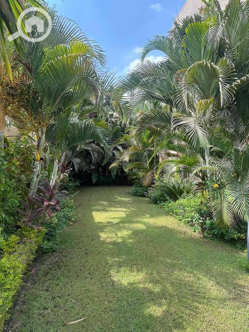 3 1475566c-eed8-439b-98d7-e0d271451caf. jpg