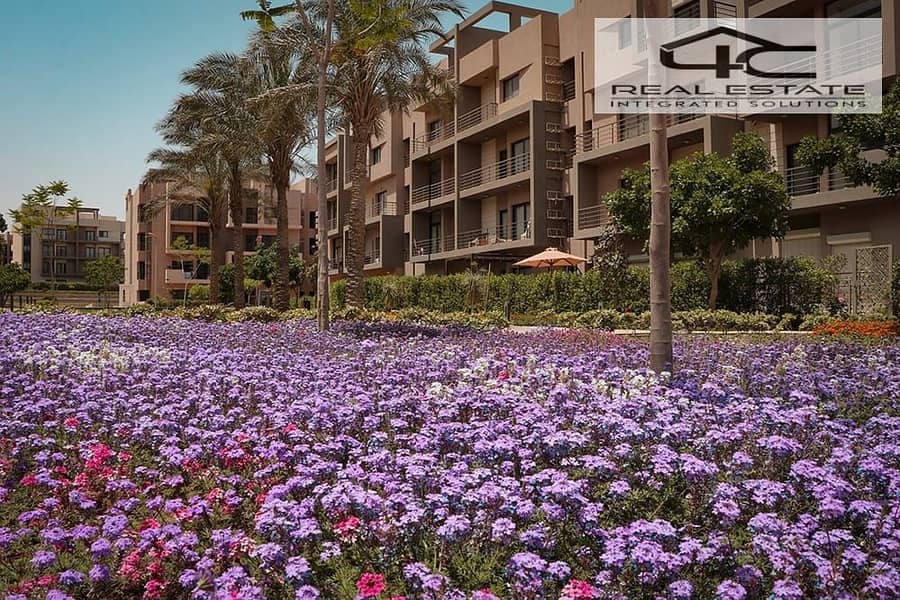 4 WhatsApp Image 2023-08-13 at 6.32. 19 PM. jpeg