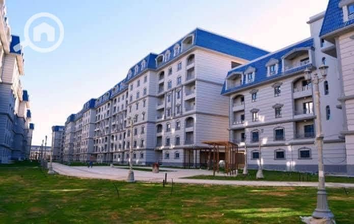 4 6940074e-964f-467a-a8c3-64e860f6dd06. jpeg