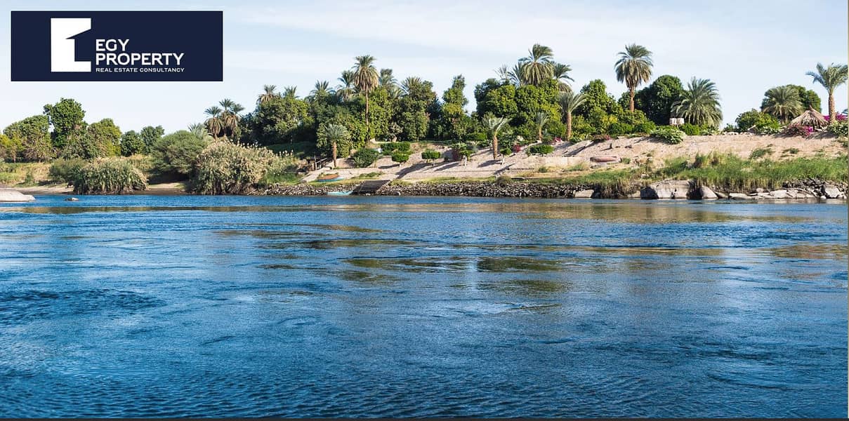 7 Screenshot (205). png