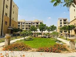 3 WhatsApp Image 2025-09-08 at 6.14. 30 PM (1). jpeg