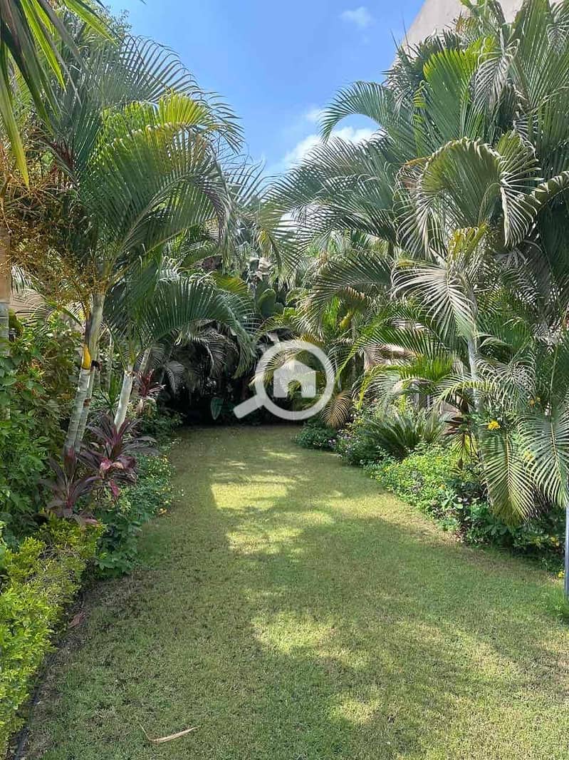 3 1475566c-eed8-439b-98d7-e0d271451caf. jpg