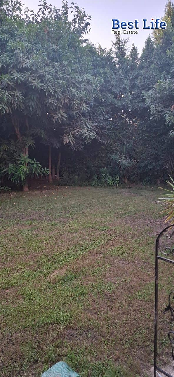 10 68c99fefbe10c_IMG-20250916-WA1136. jpg