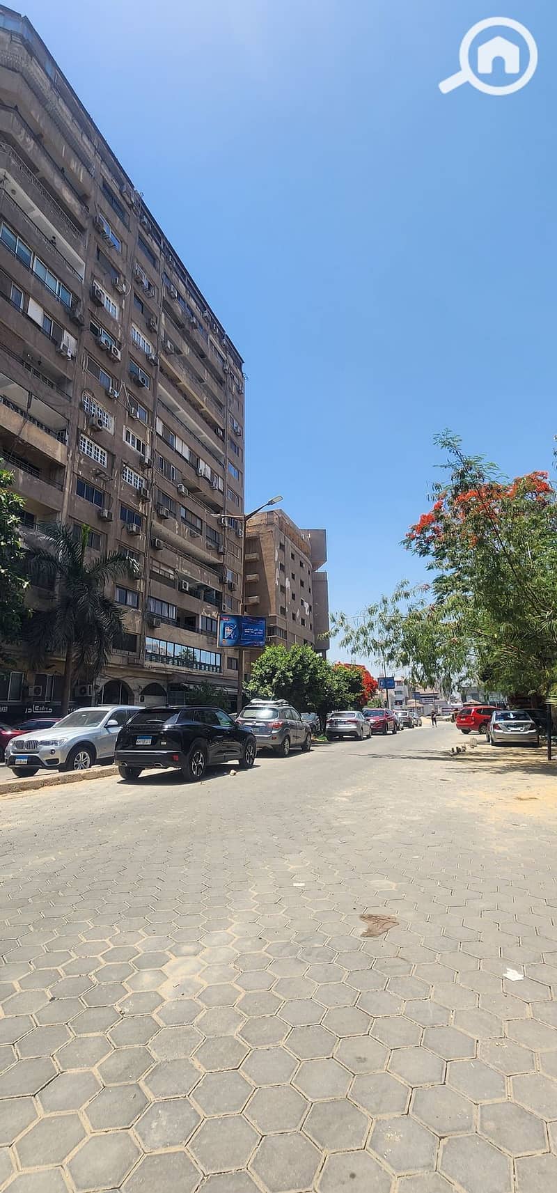 3 ٢٠٢٥٠٥٢٣_١٣٠٣٠٢. jpg