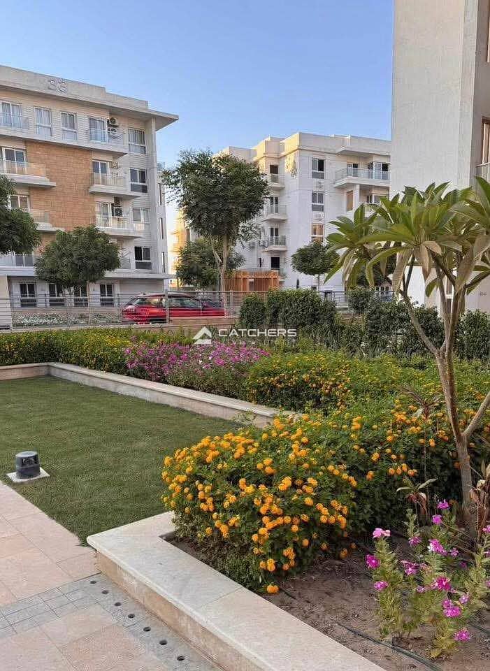 8 567499652_2201885253628682_4828143948960200683_n. jpg