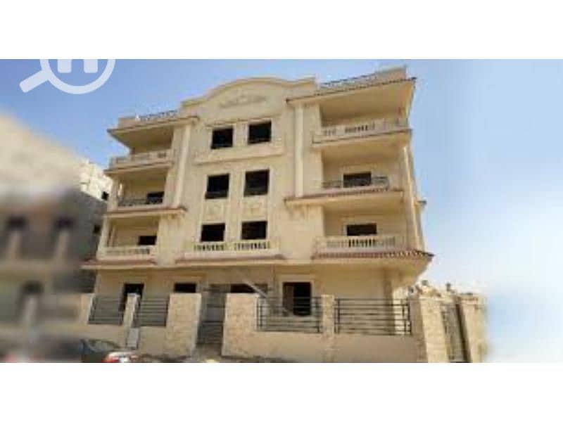 3 images (1) (1). jpg