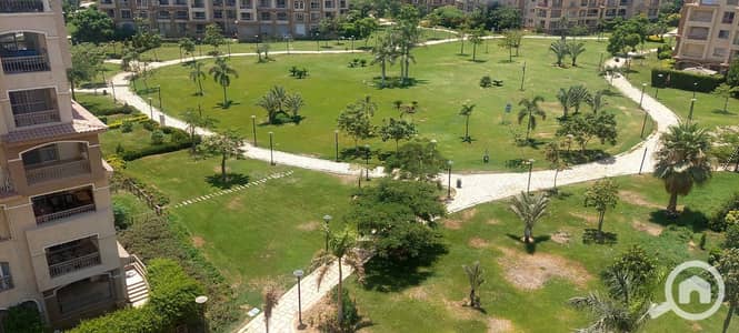 شقة 3 غرف نوم للبيع في مدينتي، القاهرة - ef4d4cbd-0af0-43df-9d60-a1dd2827cc39. jpg شقة 3 غرف نوم للبيع في مدينتي، القاهرة - ef4d4cbd-0af0-43df-9d60-a1dd2827cc39. jpg