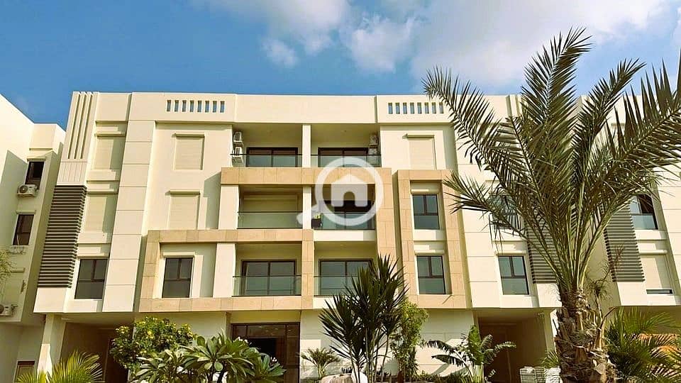 4 436787983_996542041981476_6156920532844672099_n. jpg