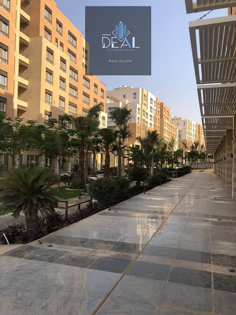 6 WhatsApp Image 2024-12-09 at 12.09. 22 PM (1). jpeg