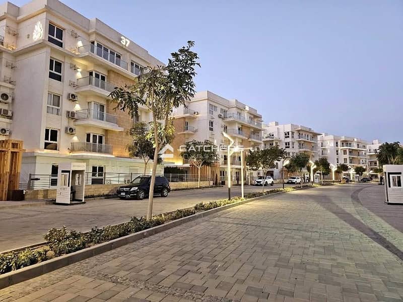 10 571217639_2076200219871546_1713063318864946045_n. jpg