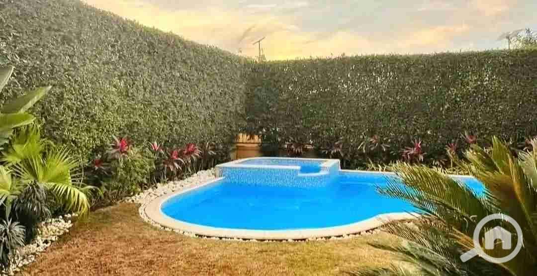 1000977131. jpg 1000977131. jpg