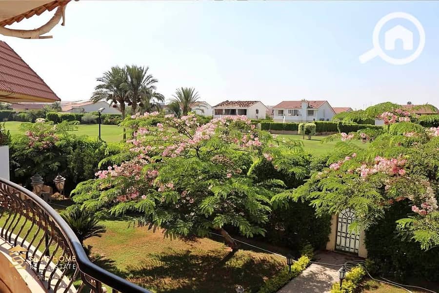 4 482561339_1874256986696906_4639711884680578441_n. jpg