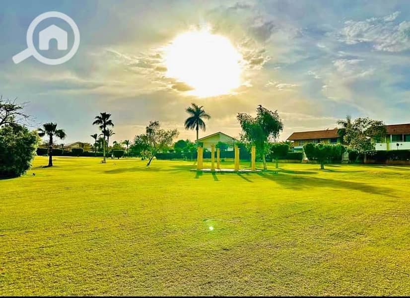 7 508475855_24379075415033143_8266574853314309006_n. jpg