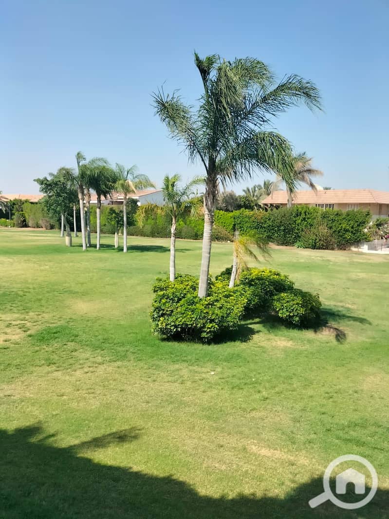 8 492012248_1915542549189304_367552130690010103_n. jpg