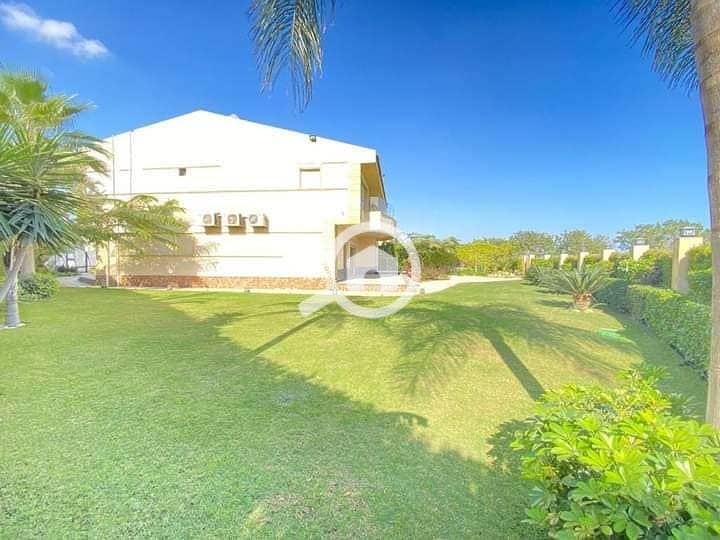 9 479722608_1156247109411190_2055248783552715192_n. jpg