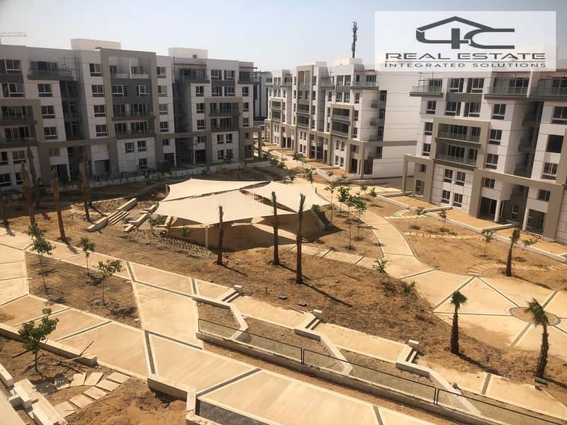 6 WhatsApp Image 2023-07-27 at 8.17. 39 AM (2). jpeg