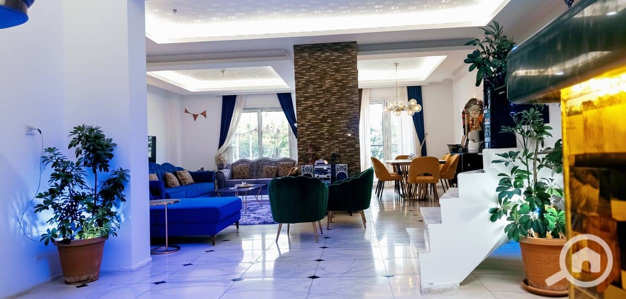 3 cf939fa2-40a6-43df-9b75-5e49fca4ced1. jpg