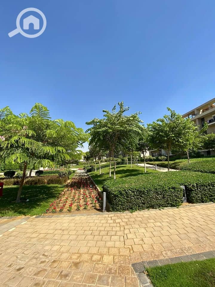 8 561865577_25060393330251202_2841619410441401290_n. jpg