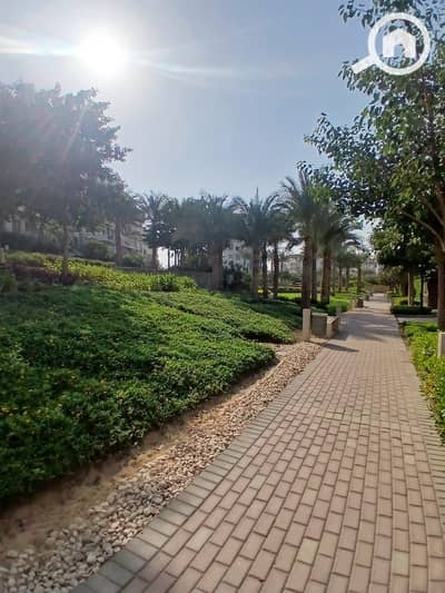 دوبلكس 4 غرف نوم للايجار في القاهرة الجديدة، القاهرة - WhatsApp Image 2025-11-17 at 2.49. 26 PM. jpeg دوبلكس 4 غرف نوم للايجار في القاهرة الجديدة، القاهرة - WhatsApp Image 2025-11-17 at 2.49. 26 PM. jpeg