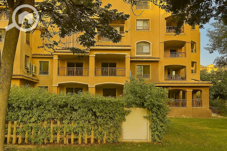 4 b9252e12-c773-493f-8149-abc42cd6cf54. jpg