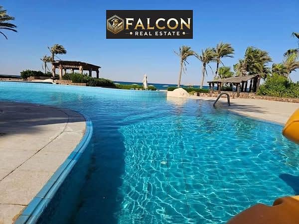 9 482015388_613316098074080_9169324662909350324_n. jpg