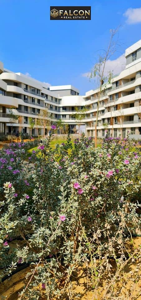 5 392594510_7129209763770162_5600195348830605186_n. jpg