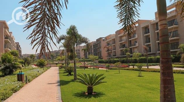 10 Screenshot 2025-08-28 171840. jpg