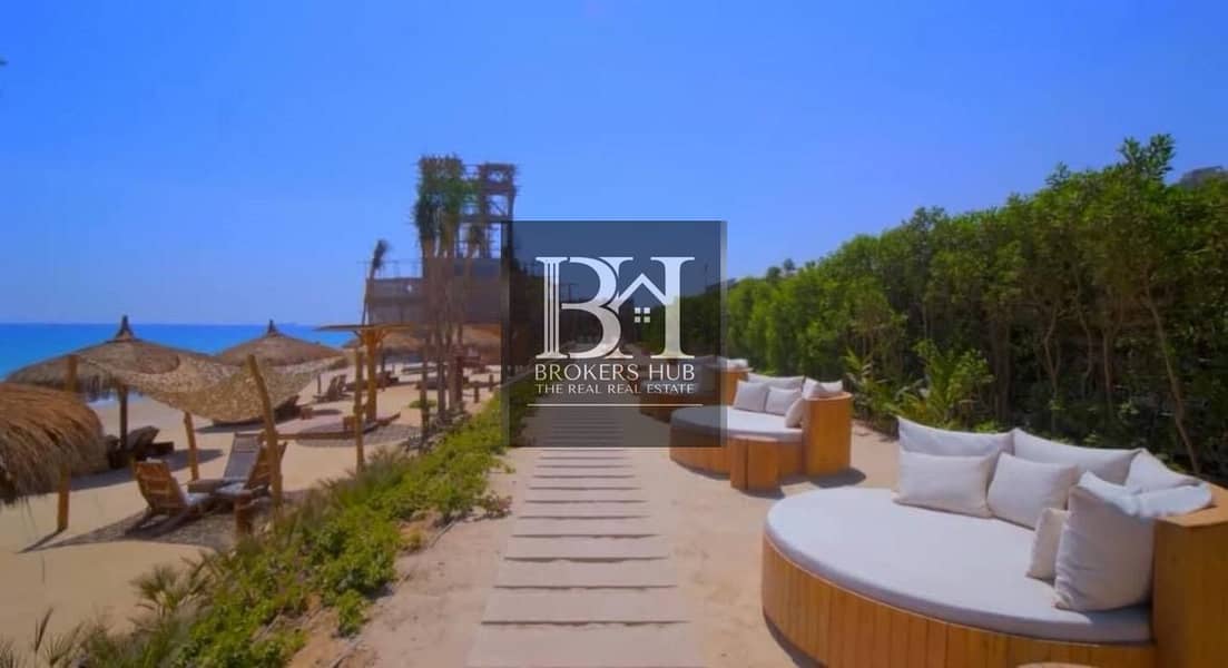 12 ce1c696f-c9db-43c8-a115-5e05fa32da62. jpeg