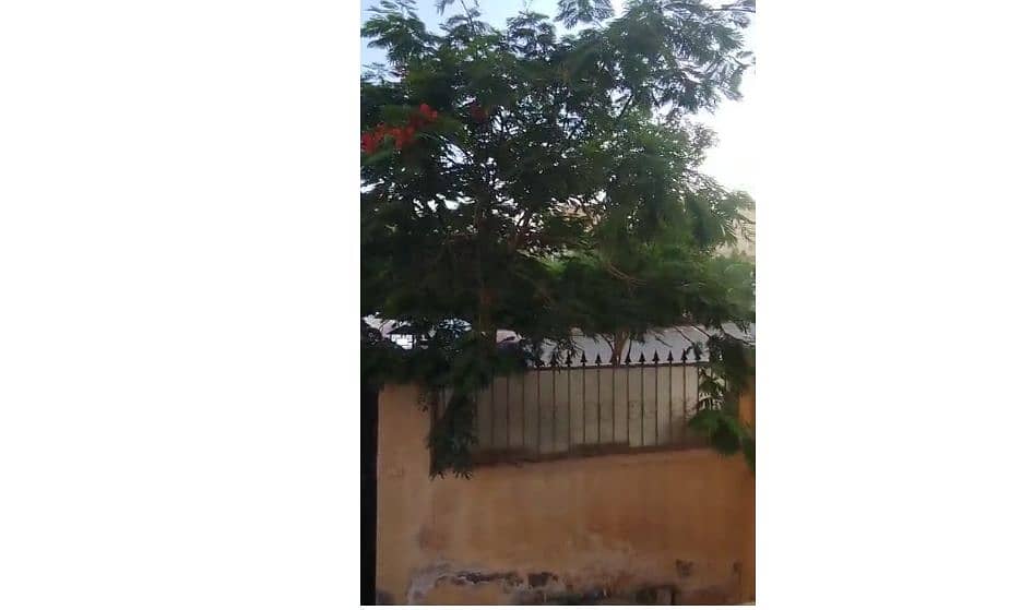 6 Screenshot_17-11-2025_182420_web. whatsapp. com. jpeg