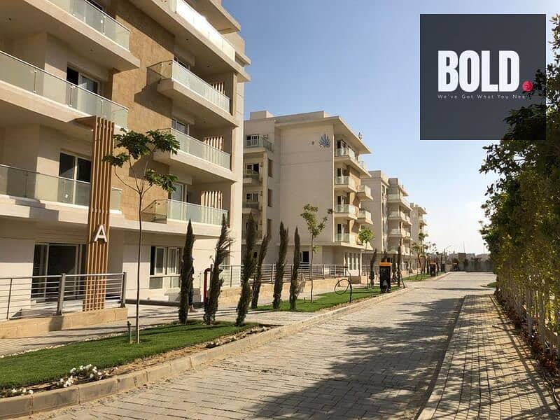 8 IMG-20241224-WA0208 - Copy. jpg