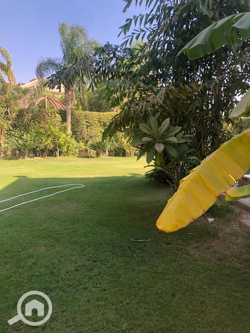 5 IMG-20251116-WA0047. jpg