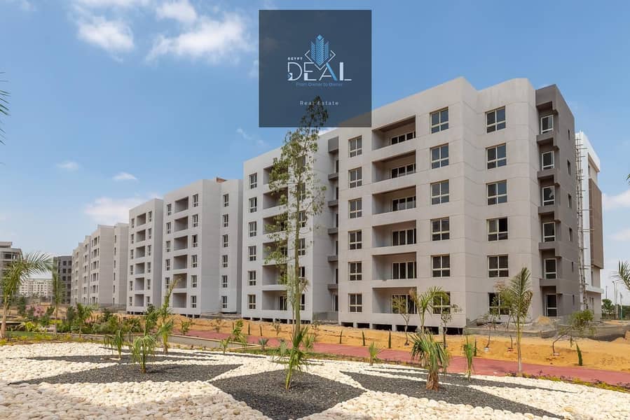 8 WhatsApp Image 2025-09-03 at 4.49. 40 PM. jpeg